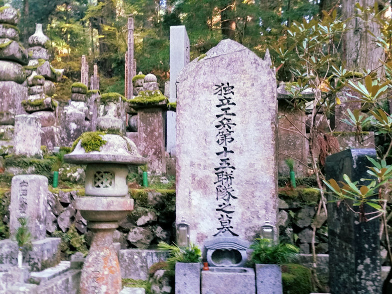 イメージ 7
