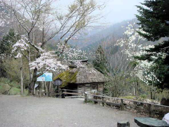https://livedoor.blogimg.jp/mk2kpfb/imgs/e/6/e685b850.jpg