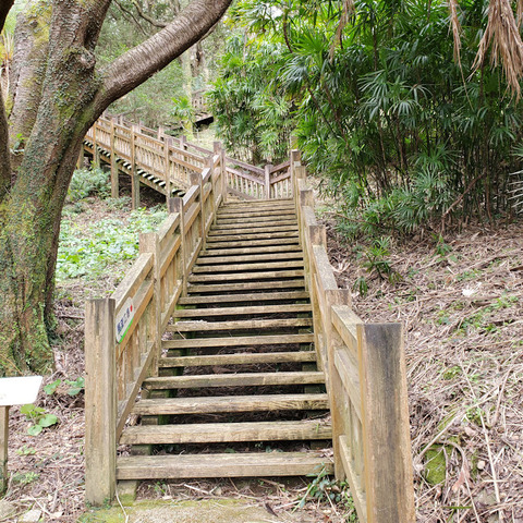 写真32