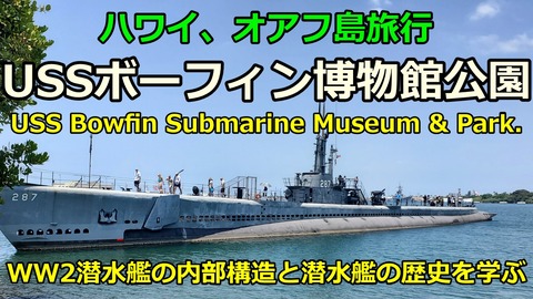 240607a_ボーフィン