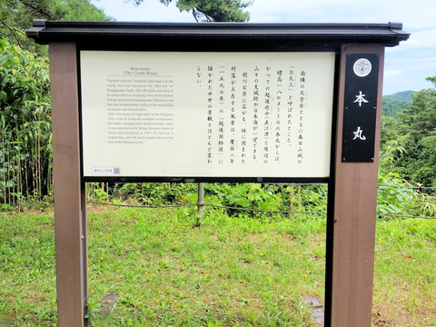 写真13
