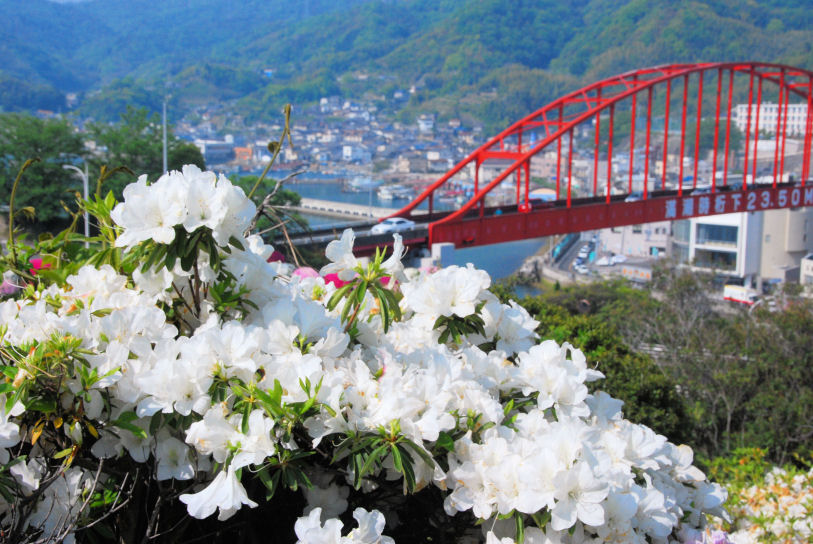 https://livedoor.blogimg.jp/mk2kpfb/imgs/e/8/e82561a9.jpg