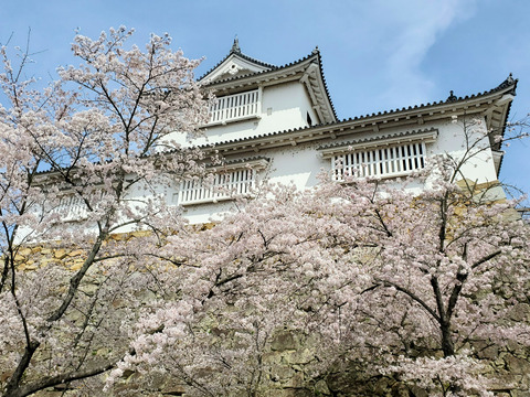 写真074