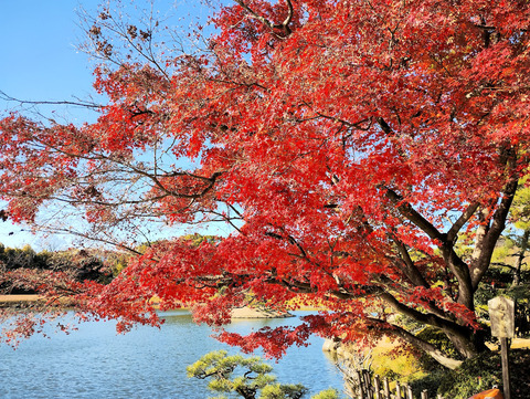 写真02