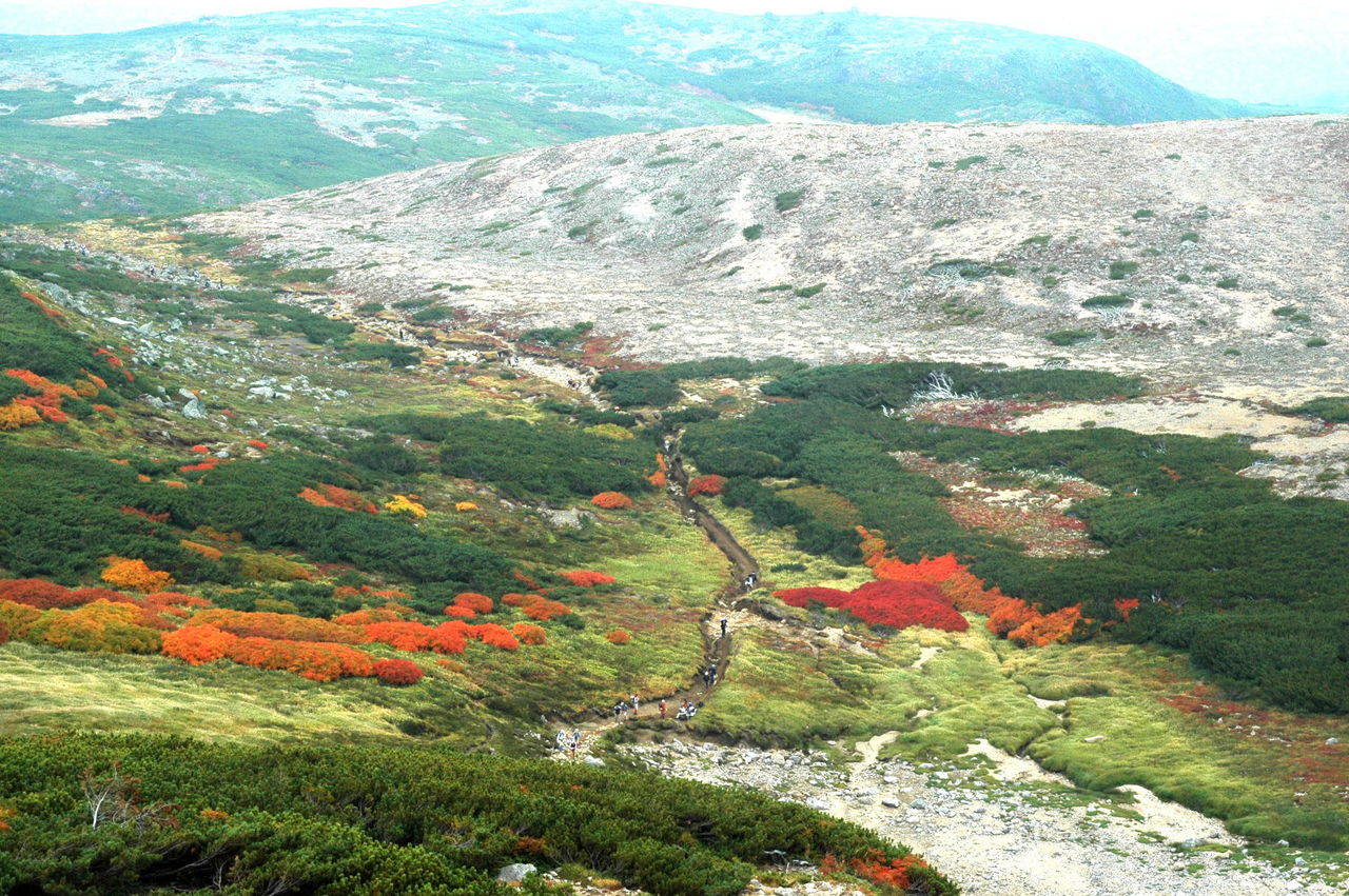 https://livedoor.blogimg.jp/mk2kpfb/imgs/e/a/ea551fc6.jpg