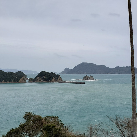 写真27
