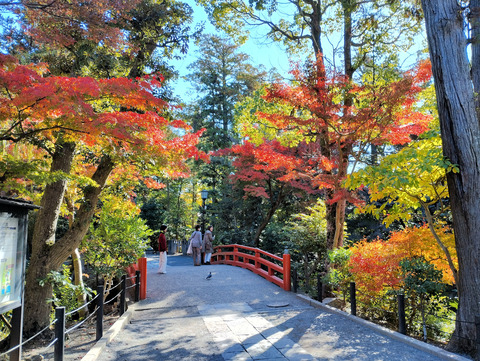 写真06