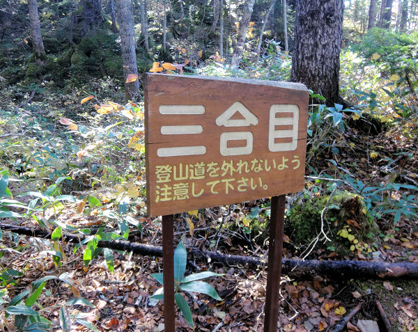 イメージ 6