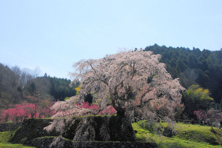 https://livedoor.blogimg.jp/mk2kpfb/imgs/e/e/ee46580b.jpg