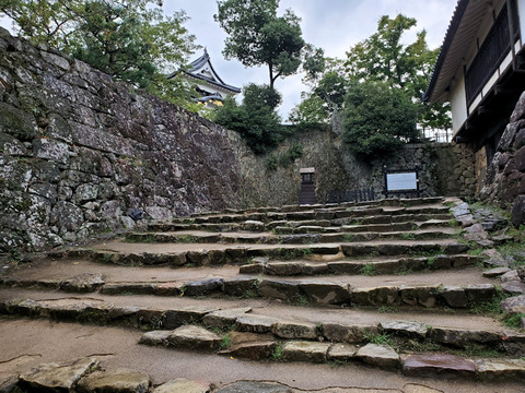 写真05