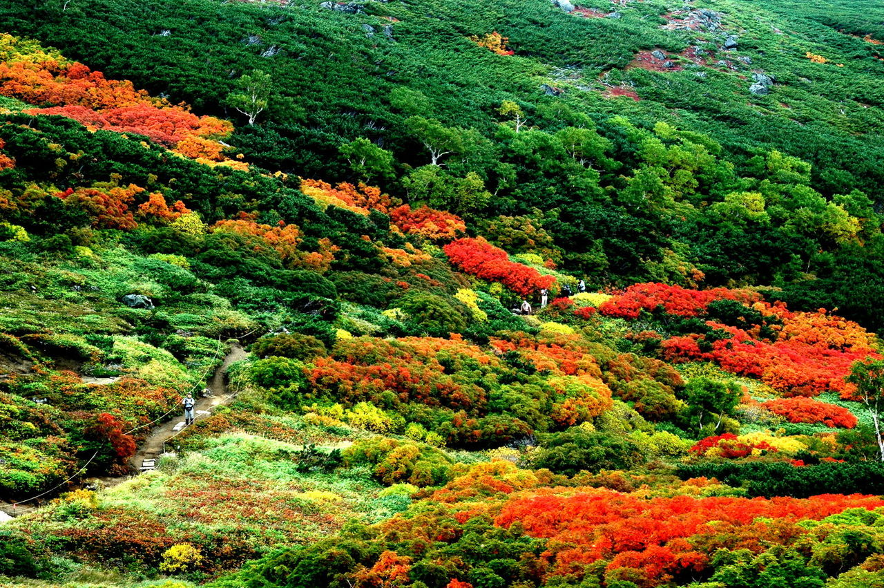 https://livedoor.blogimg.jp/mk2kpfb/imgs/e/f/eff6f33e.jpg