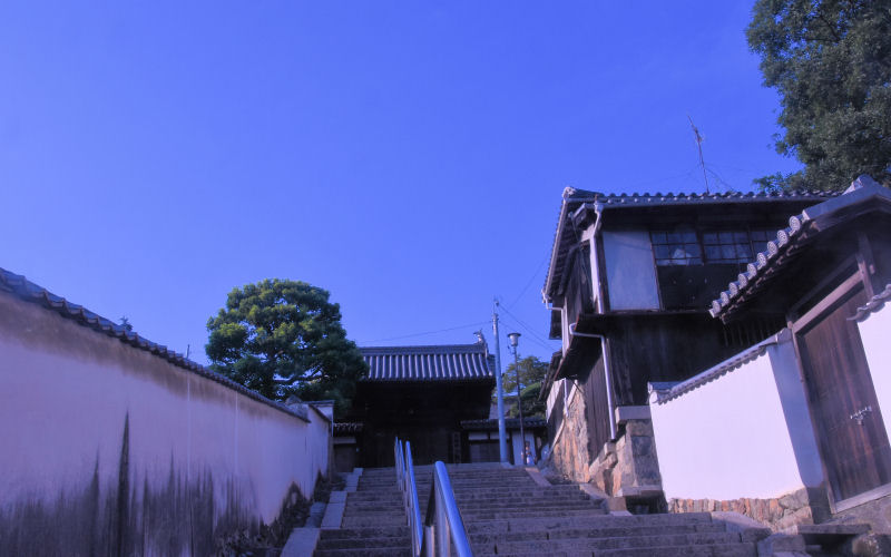 イメージ 3