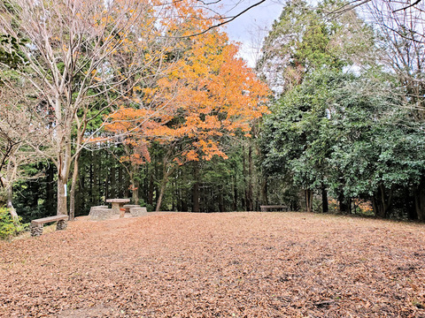 写真05