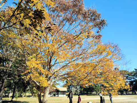 写真09
