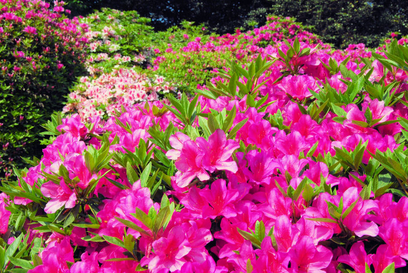 https://livedoor.blogimg.jp/mk2kpfb/imgs/f/5/f5dc11f5.jpg