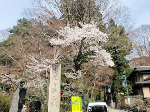 写真01
