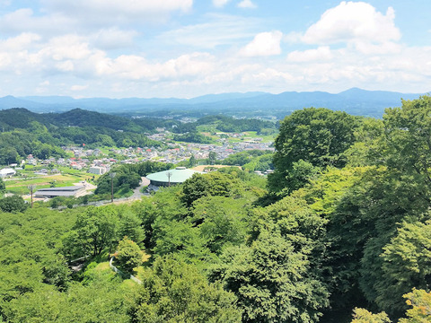 写真19