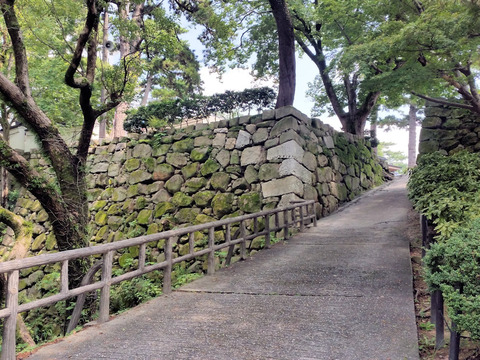 写真01