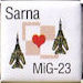 PO_MiG23_Sarna