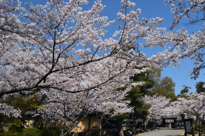 イメージ 2