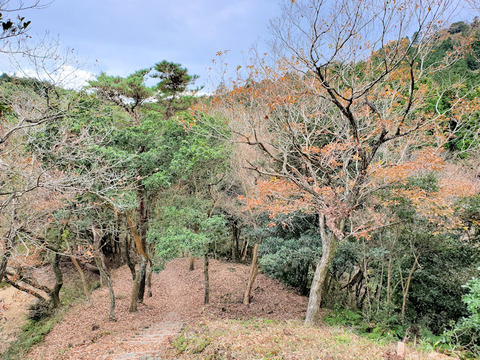 写真01
