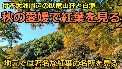 241124_西伊予