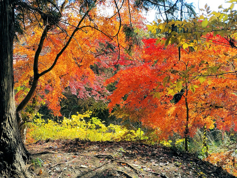 写真32