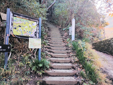 写真03