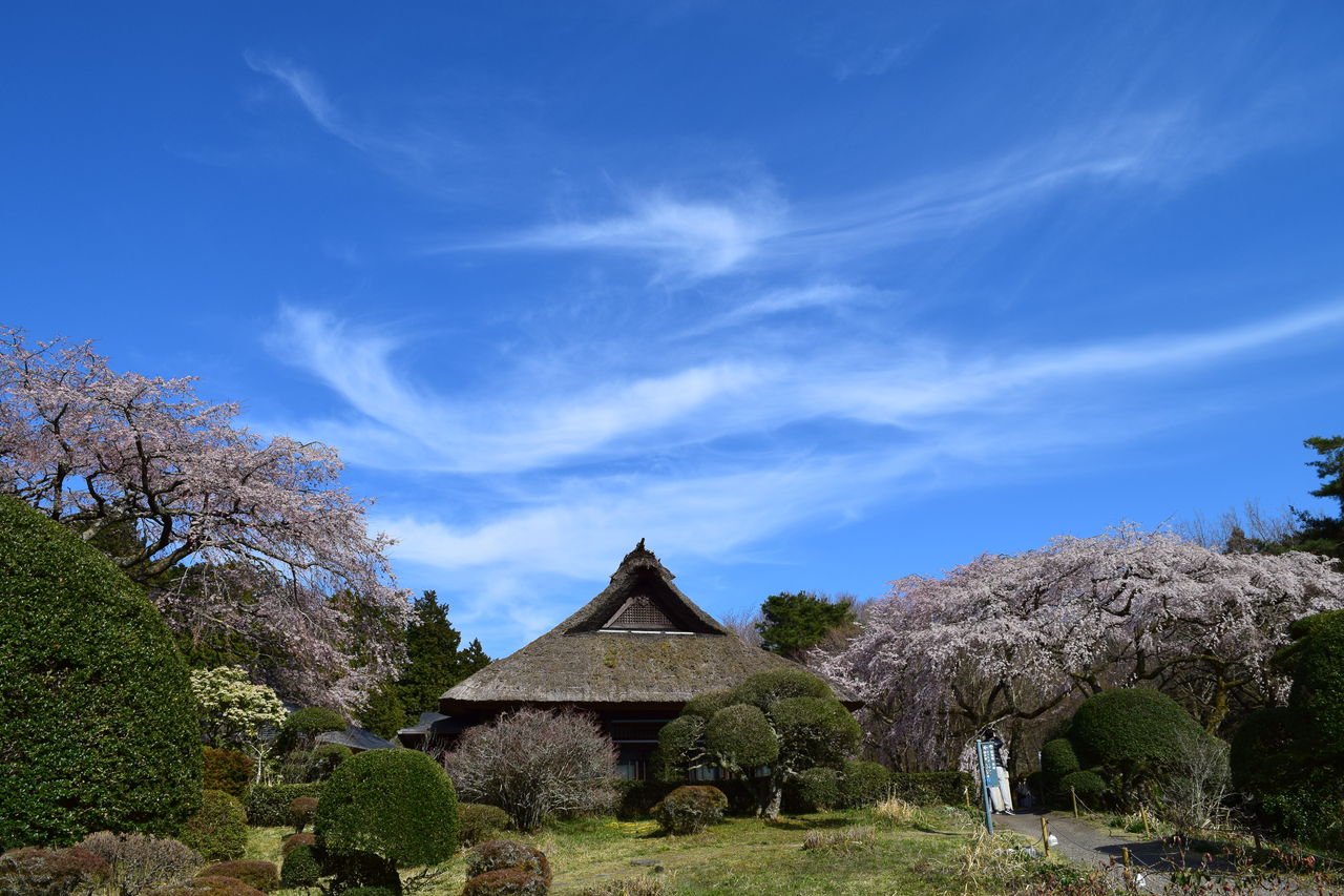 日間車椅子旅行 秩父宮記念公園 桜 バリアフリー情報 Kenjiのブログ３冊目