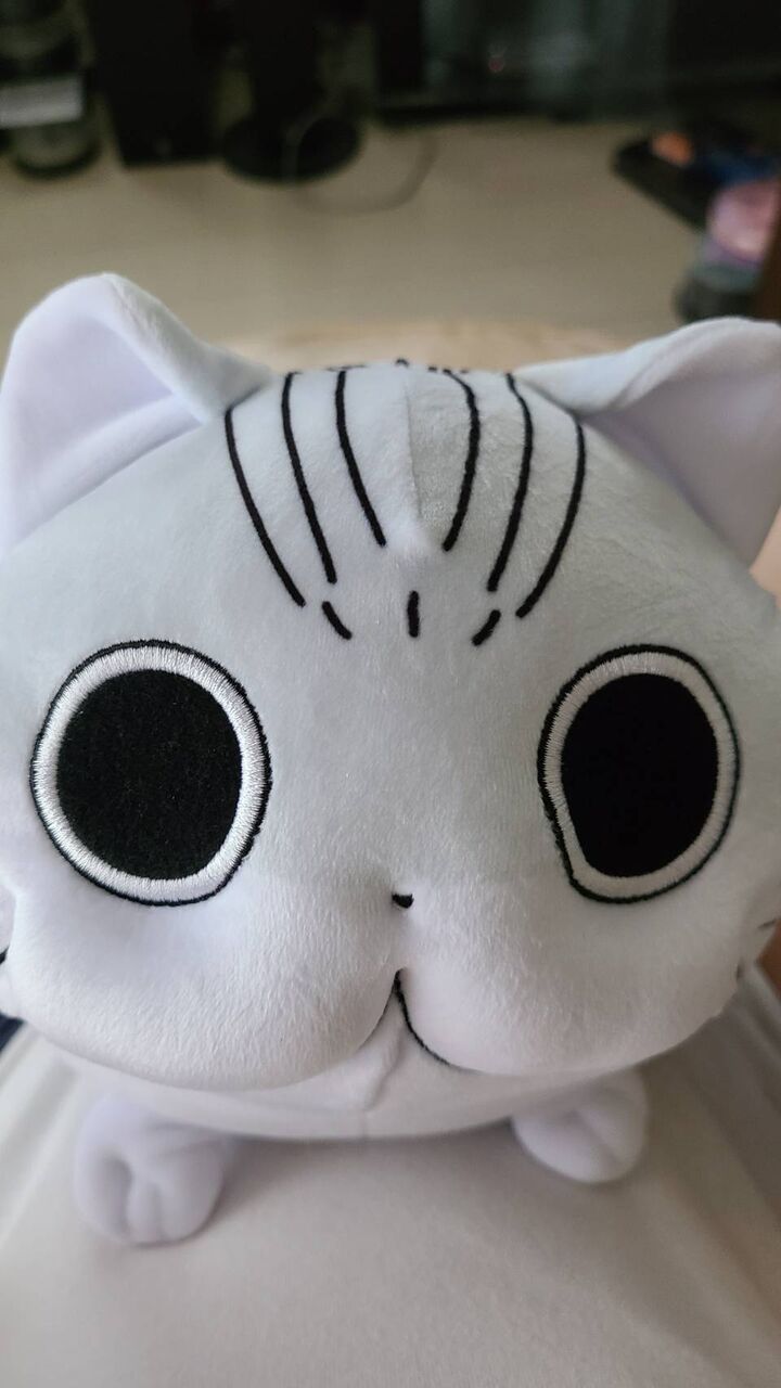 画像 ゲーセンぬいぐるみ 博多駅で買い物とゲーセン ネコ取れた Fwf Kenjiのブログ３冊目