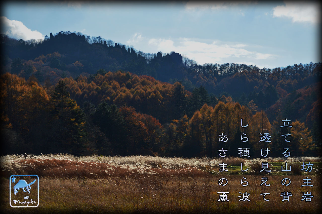 ゆく秋野 軽井沢で短歌と写真と