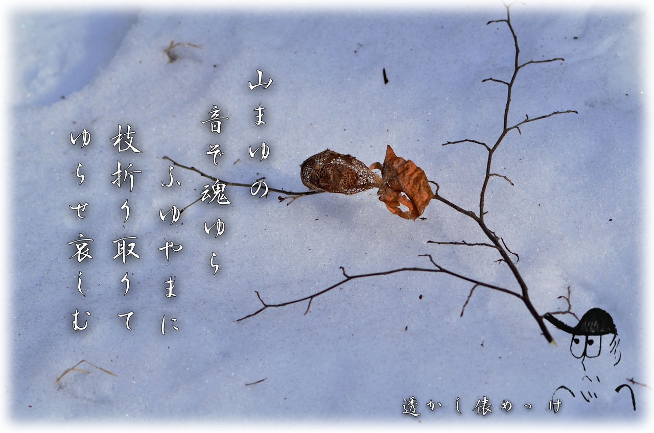 やままゆ 軽井沢で短歌と写真と