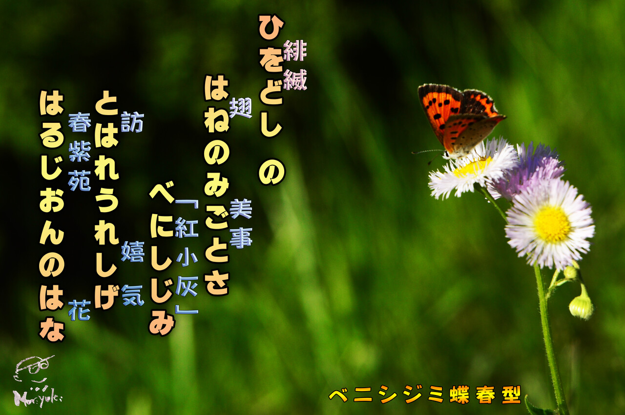 ひらがなに 漢字を振ってみた 軽井沢で短歌と写真と ひらがなに 漢字を振ってみた 軽井沢で短歌と写真と