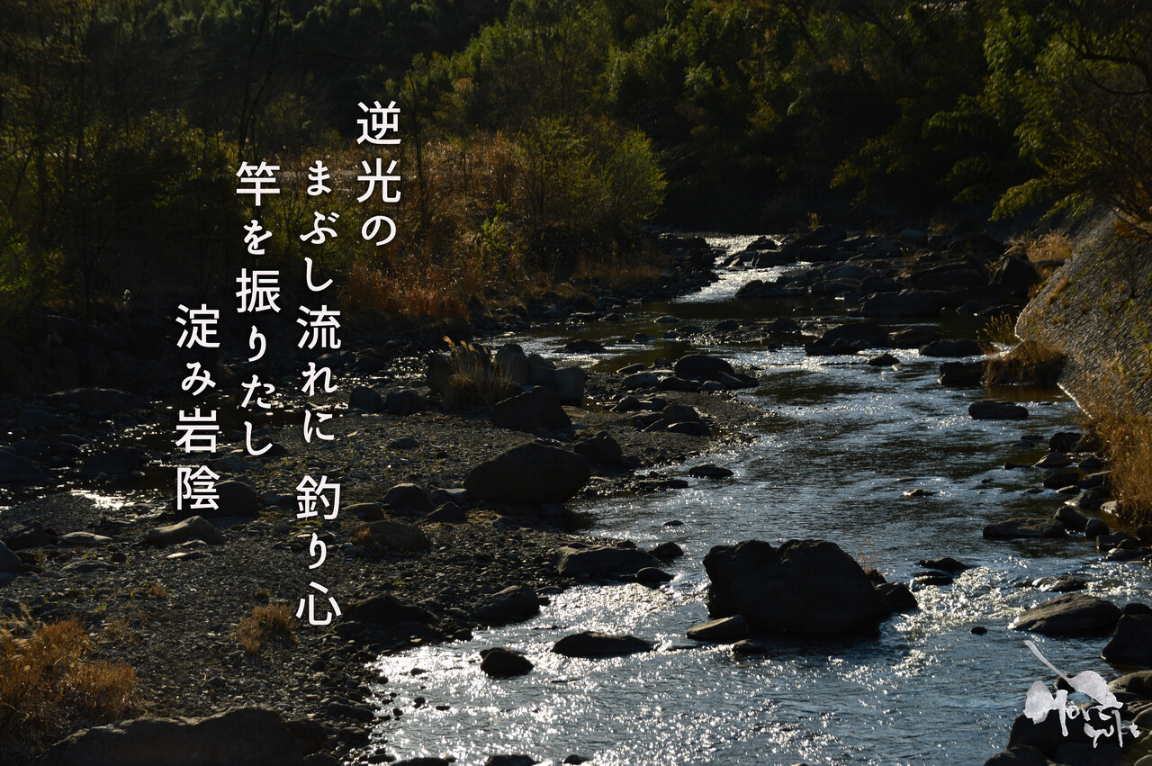 釣りをしたいなあ 軽井沢で短歌と写真と