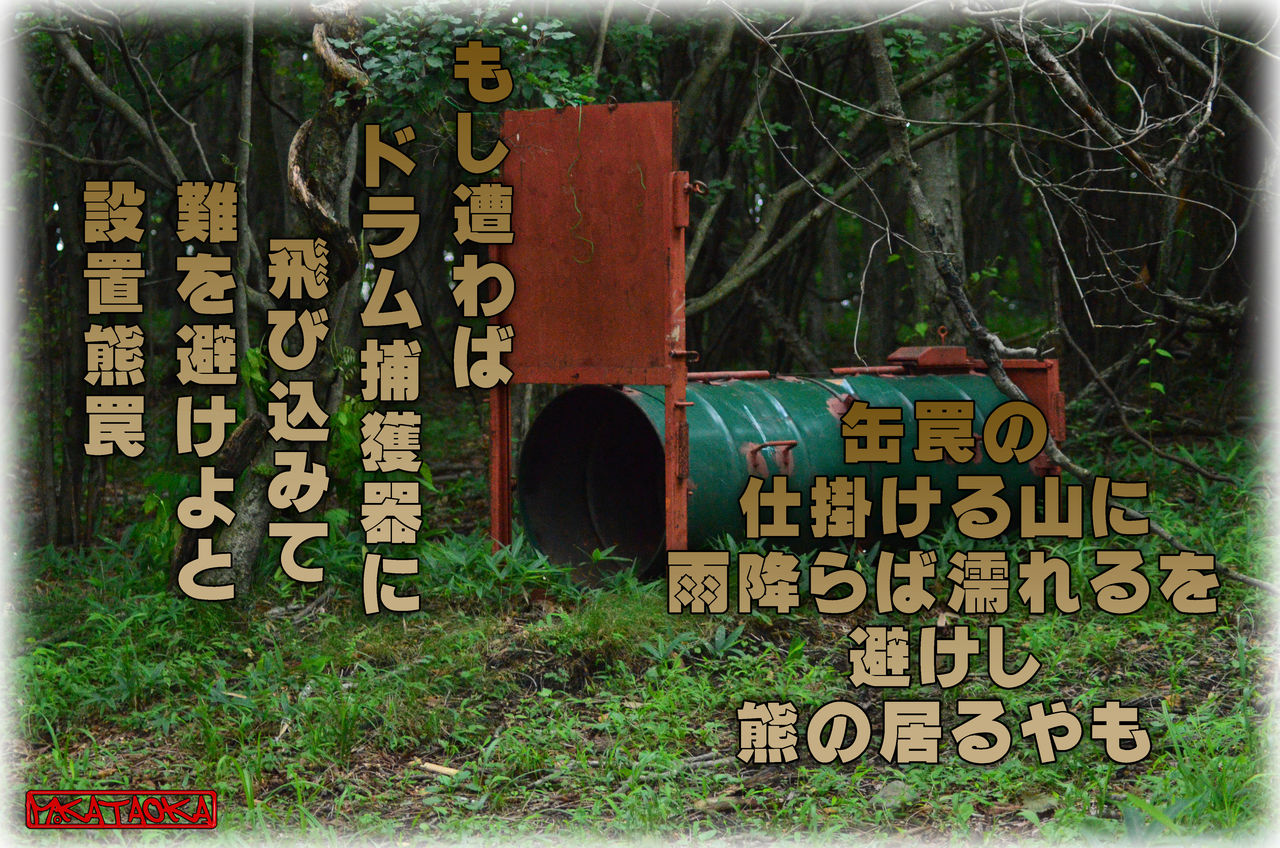 縦書き 横書き 軽井沢で短歌と写真と 縦書き 横書き 軽井沢で短歌と写真と