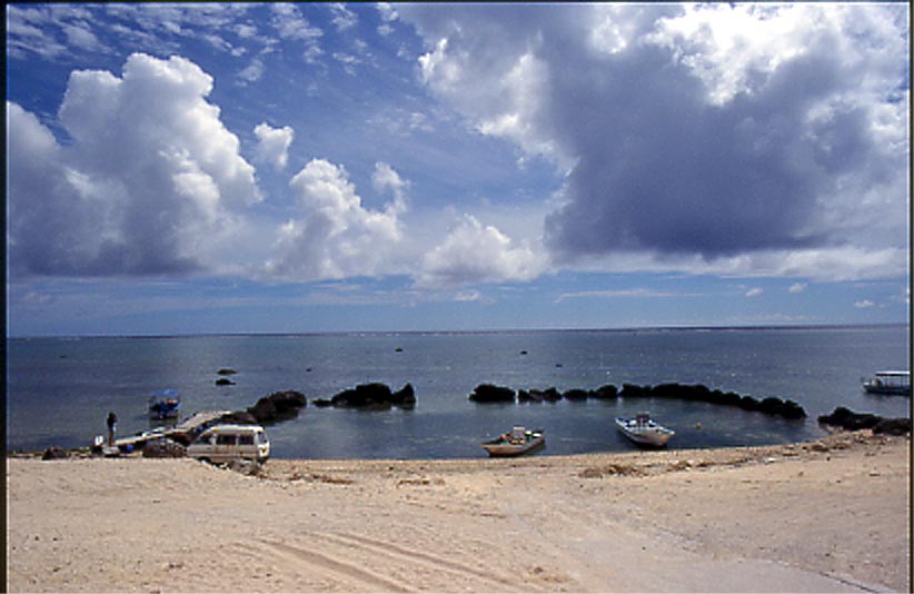 100年前の海 : 燃えるゴミは明日