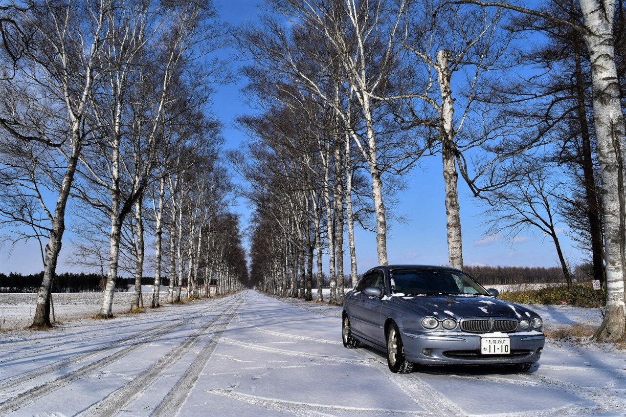 雪景色の白樺並木 帯広 燃えるゴミは明日