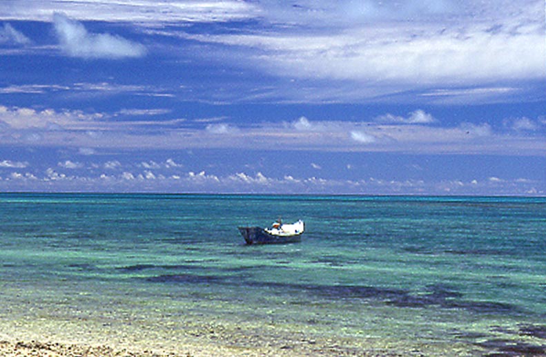 100年前の海 : 燃えるゴミは明日
