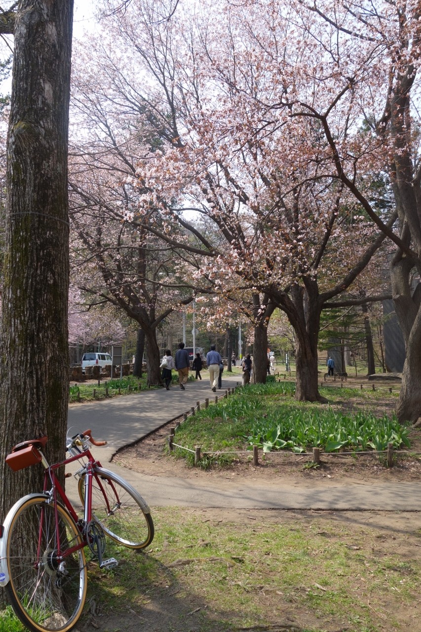 円山 公園 自転車
