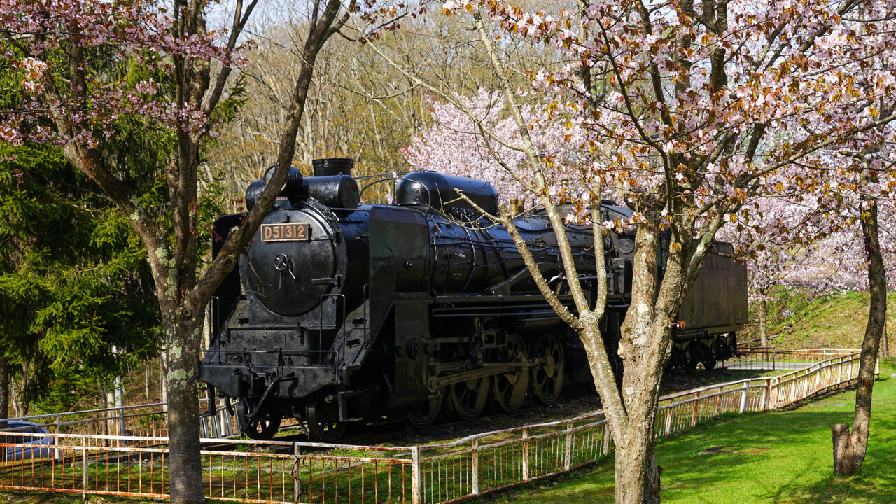 桜山公園のSLと桜（深川） : 燃えるゴミは明日