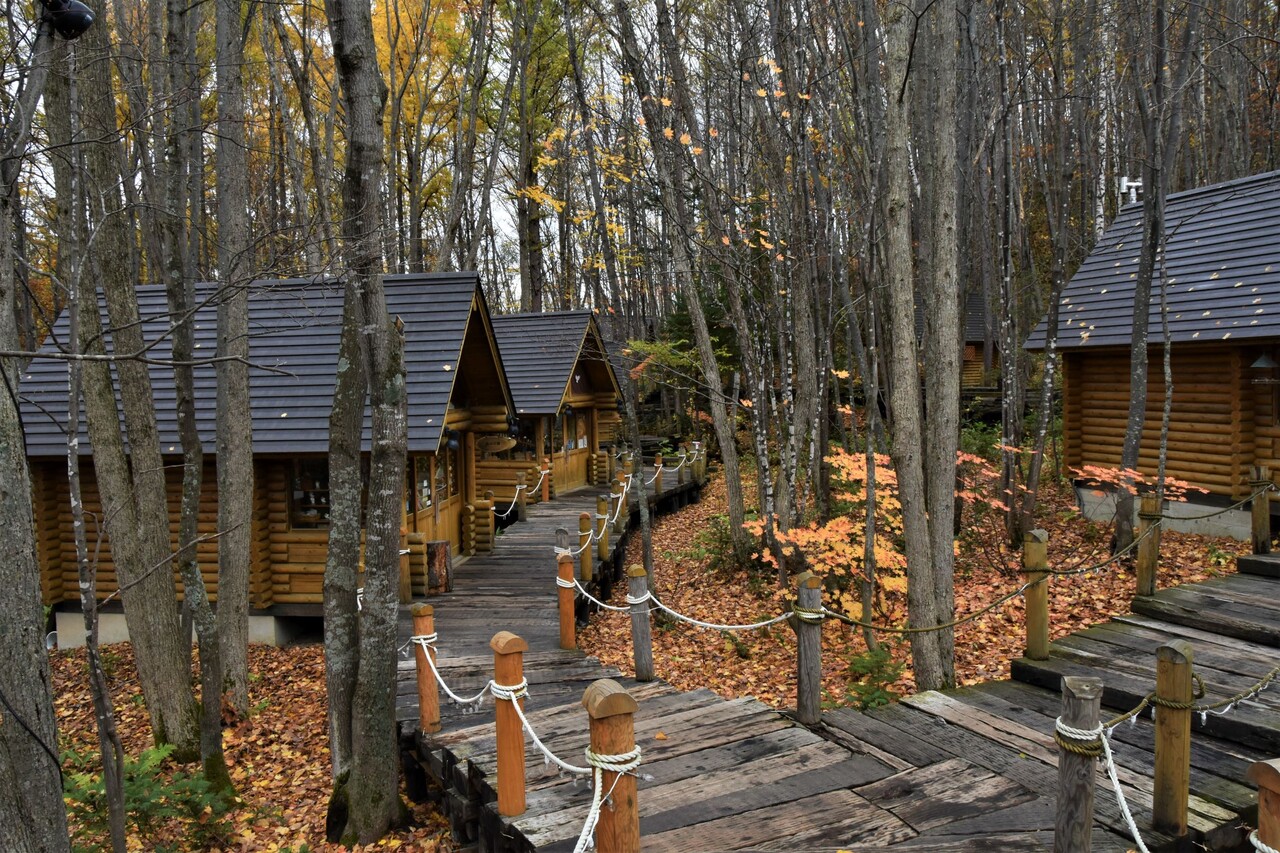 森の時計 富良野 燃えるゴミは明日