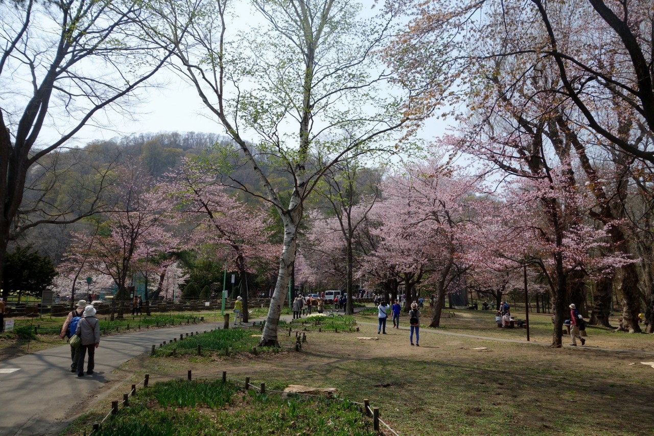 円山 公園 自転車