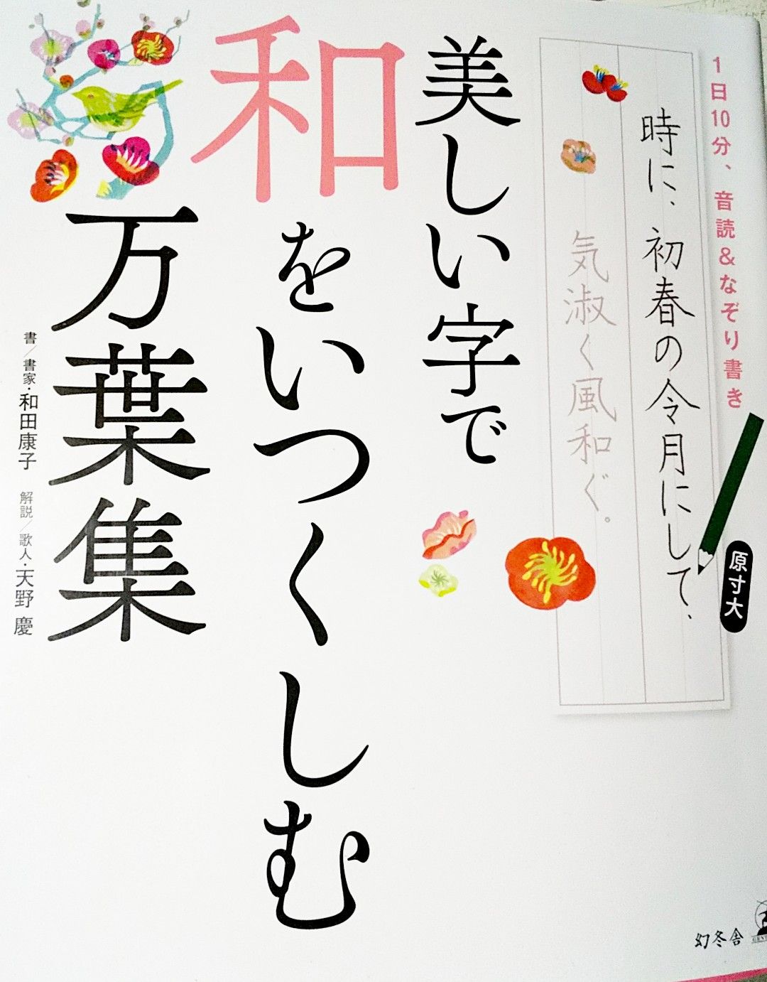 和田康子 天野慶 美しい字で和をいつくしむ万葉集 存在しない何かへの憧れ 工藤吉生ブログ 和田康子 天野慶 美しい字で和をいつくしむ万葉集 存在しない何かへの憧れ 工藤吉生ブログ