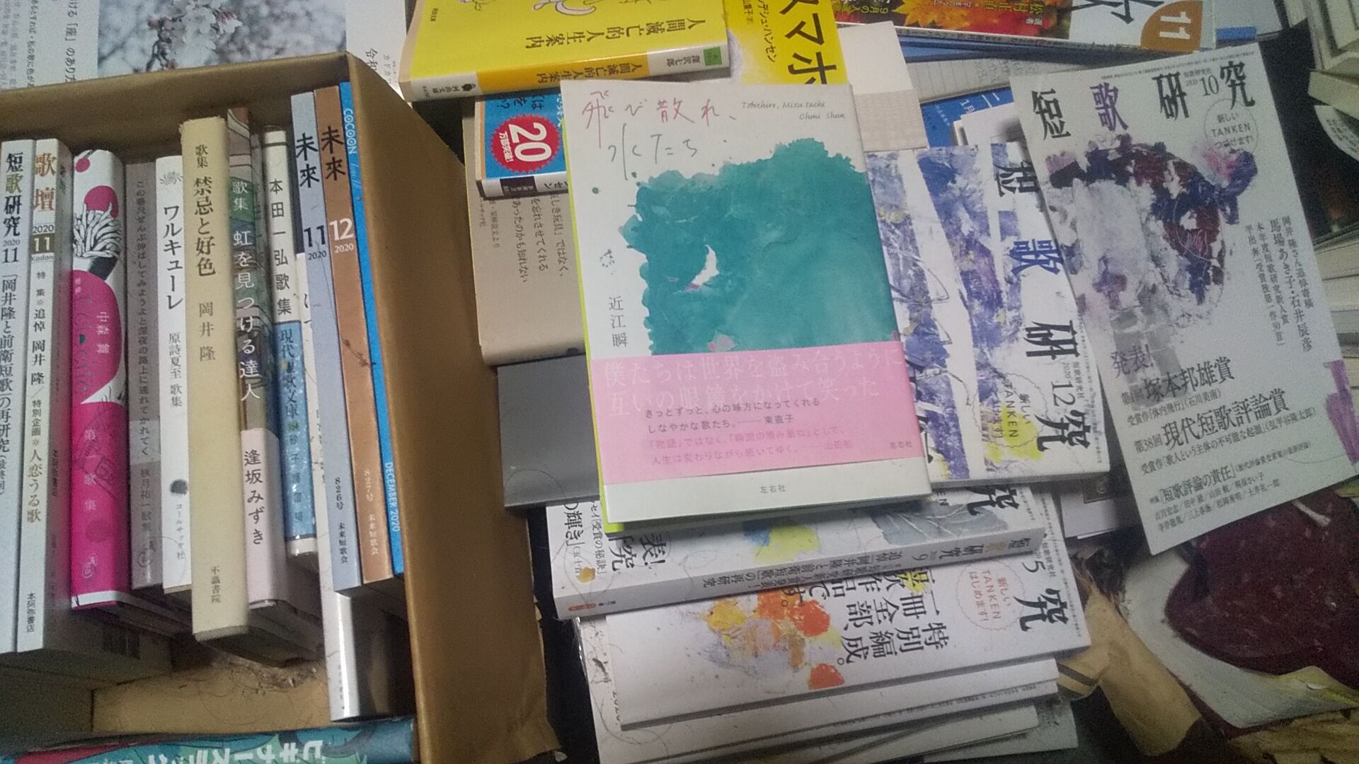 歌集読む248 近江瞬 飛び散れ 水たち うすい水面が静まり返る ほか 存在しない何かへの憧れ 工藤吉生ブログ 歌集読む248 近江瞬 飛び散れ 水たち うすい水面が静まり返る ほか 存在しない何かへの憧れ 工藤吉生ブログ
