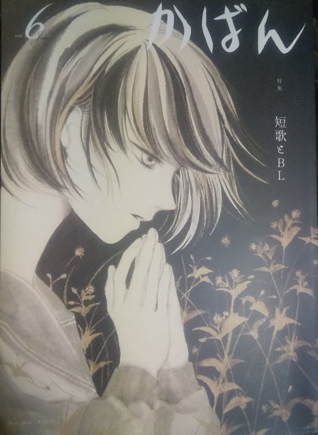 そのほか短歌の本読む150 かばん 年6月号 写真の中に私はいない ほか 存在しない何かへの憧れ 工藤吉生ブログ