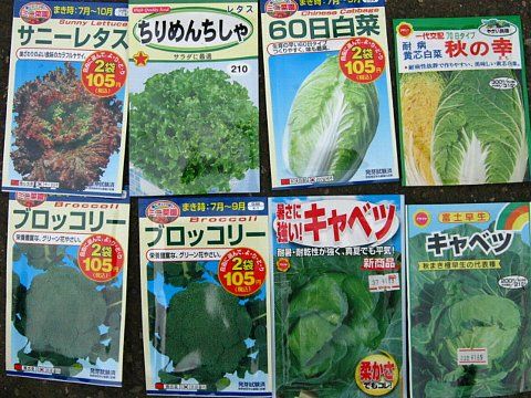 秋植え野菜の準備 はたぶろ