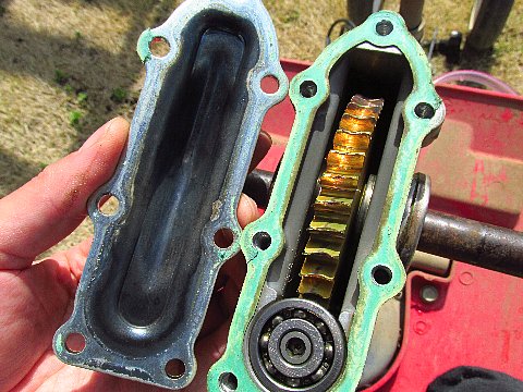 プチな Fg1 ギアオイル交換 はたぶろ プチな Fg1 ギアオイル交換 はたぶろ