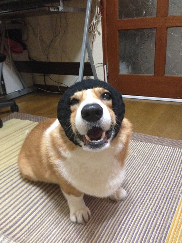 現実を受け止める キラキラしたのがしんどい