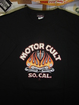 �⡼��������ȣ�