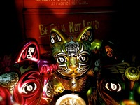 �ͥ�����